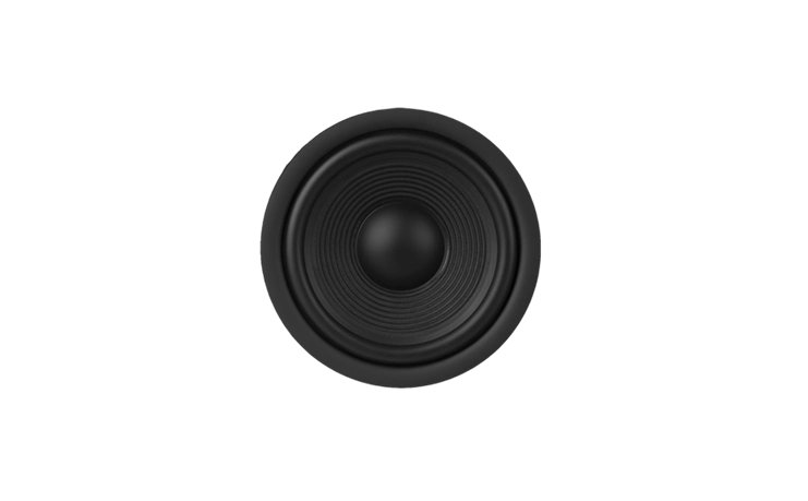 Woofer del parlante JBL 250B